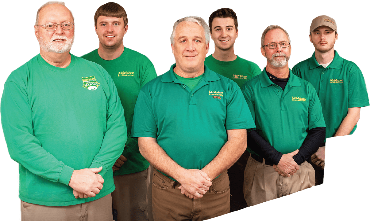 Pest Control McMahon Exterminating About